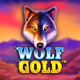 Play the Wolf Gold slot by Pragmatic Play on Spinbara Casino